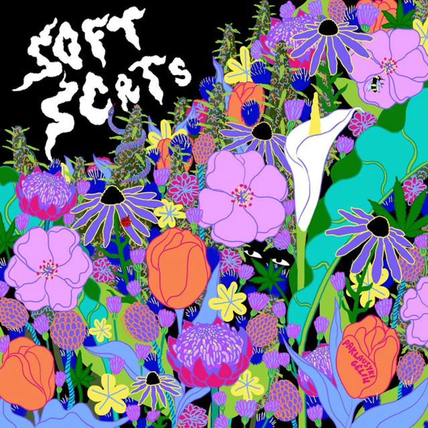 Soft Scrts