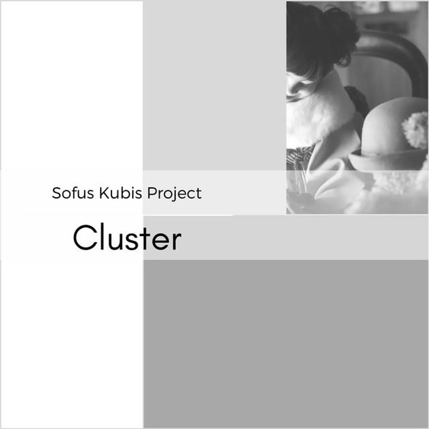 Sofus Kubis Project