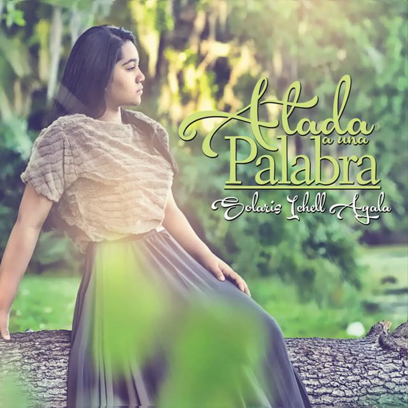 Solaris Ichell Ayala Brand Page