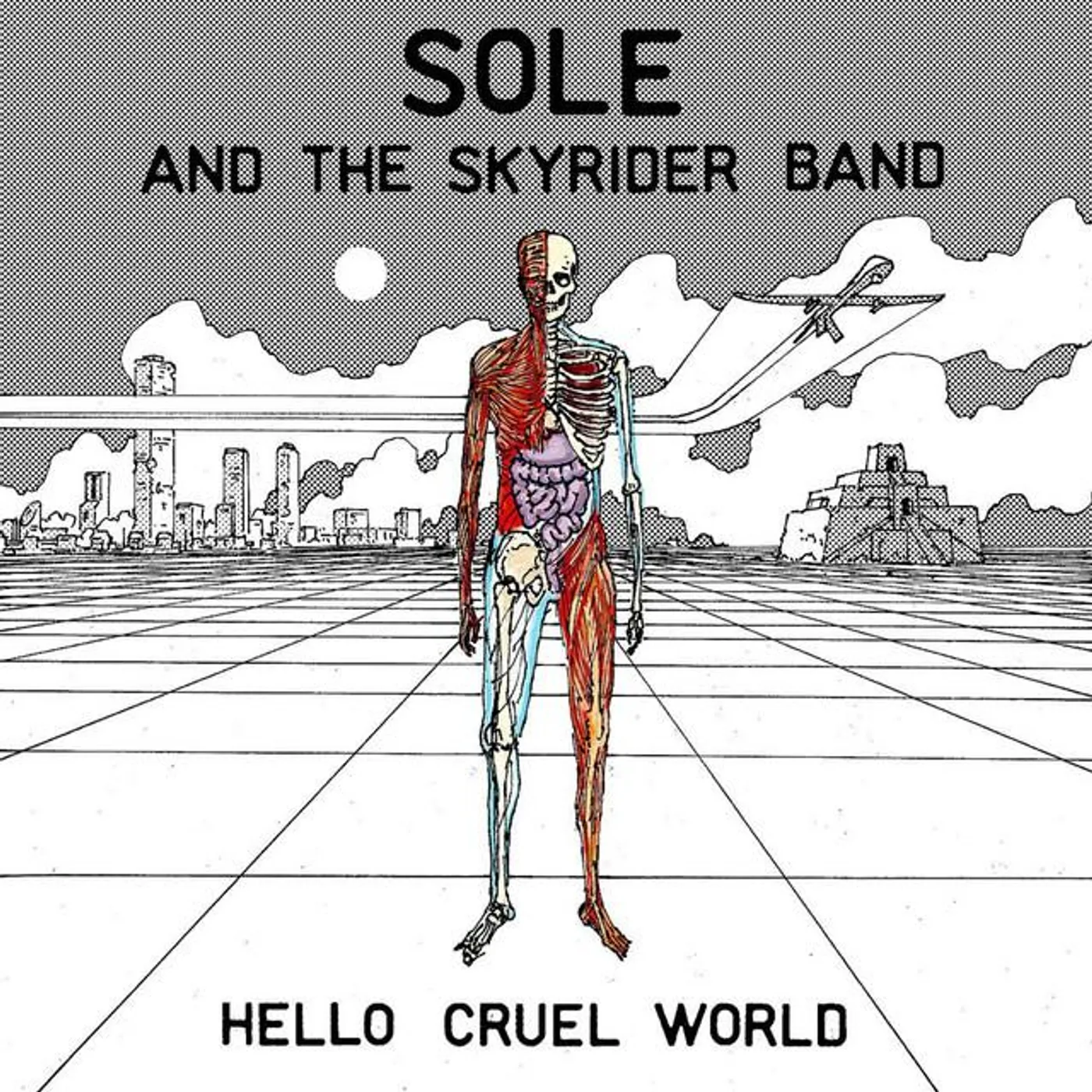 Sole And The Skyrider Band