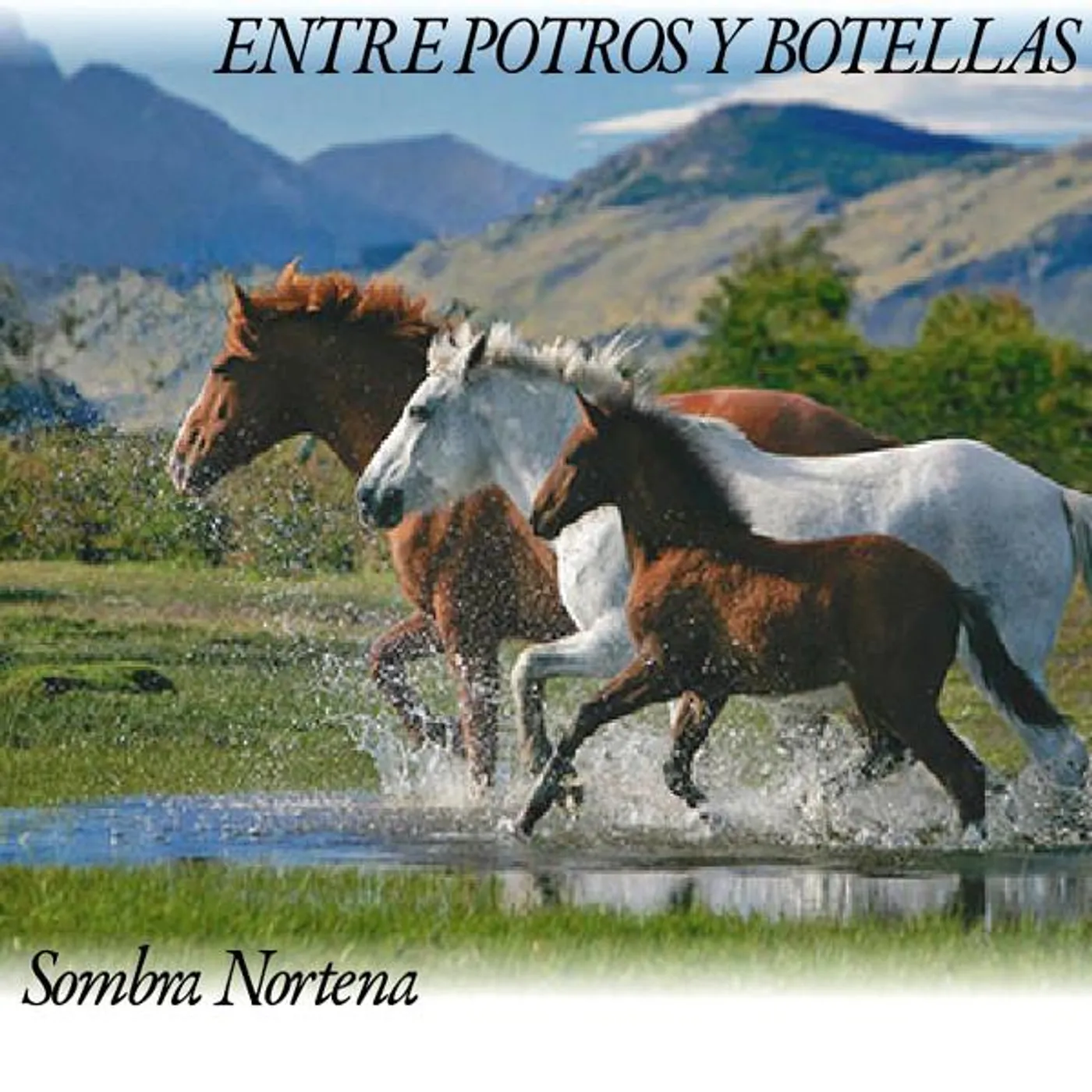 Sombra Nortena