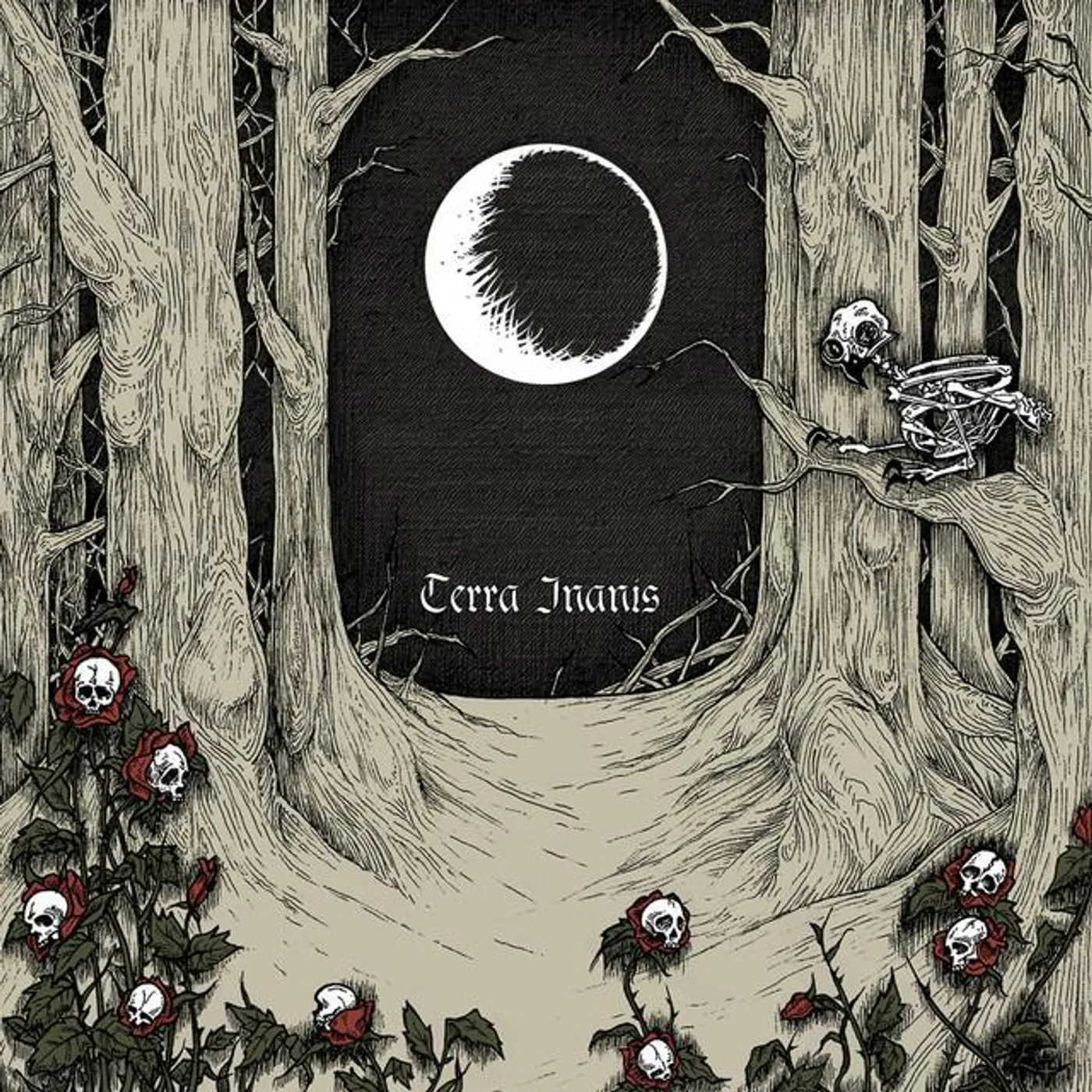 Somnium Nox