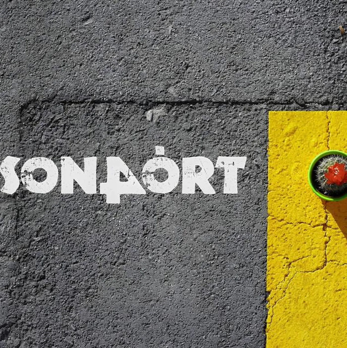 Son Dört