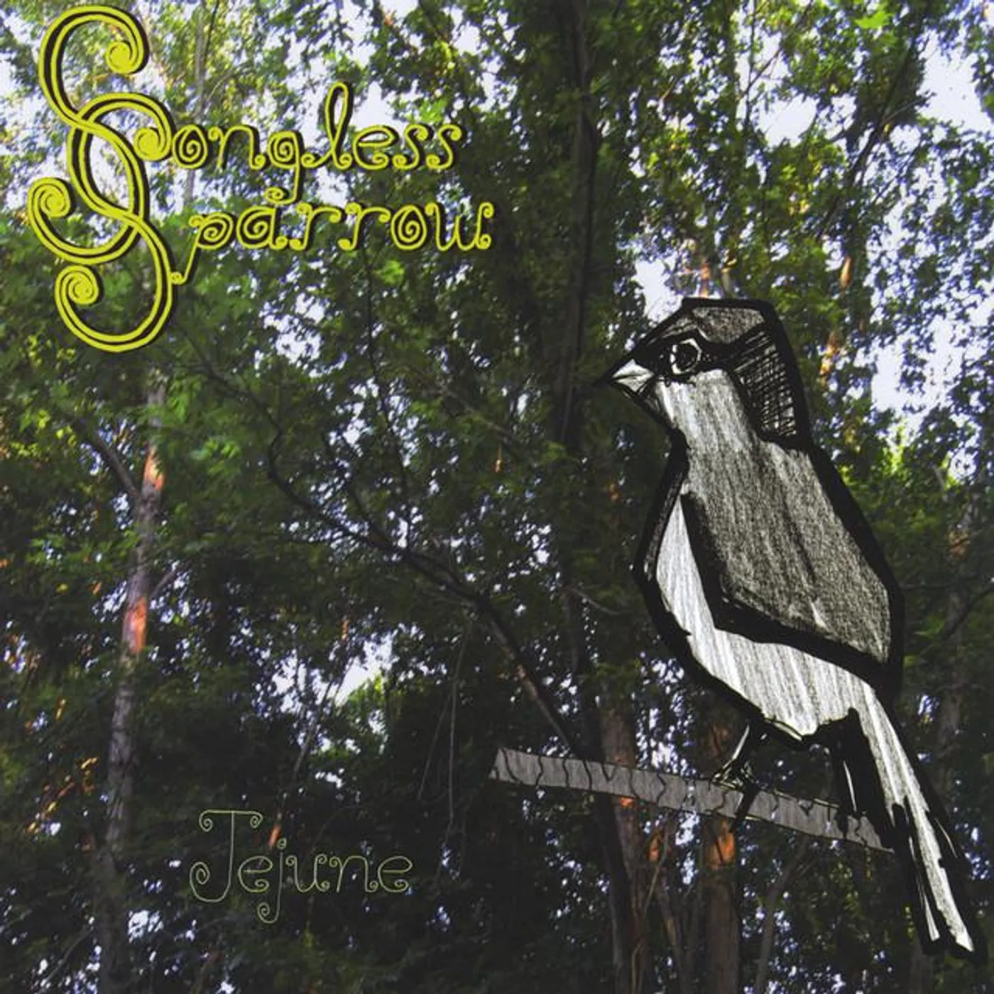 Songless Sparrow