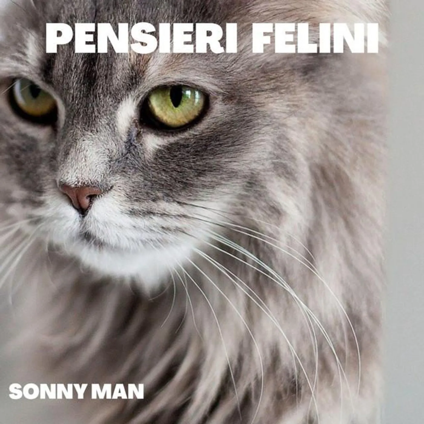 Sonny Man