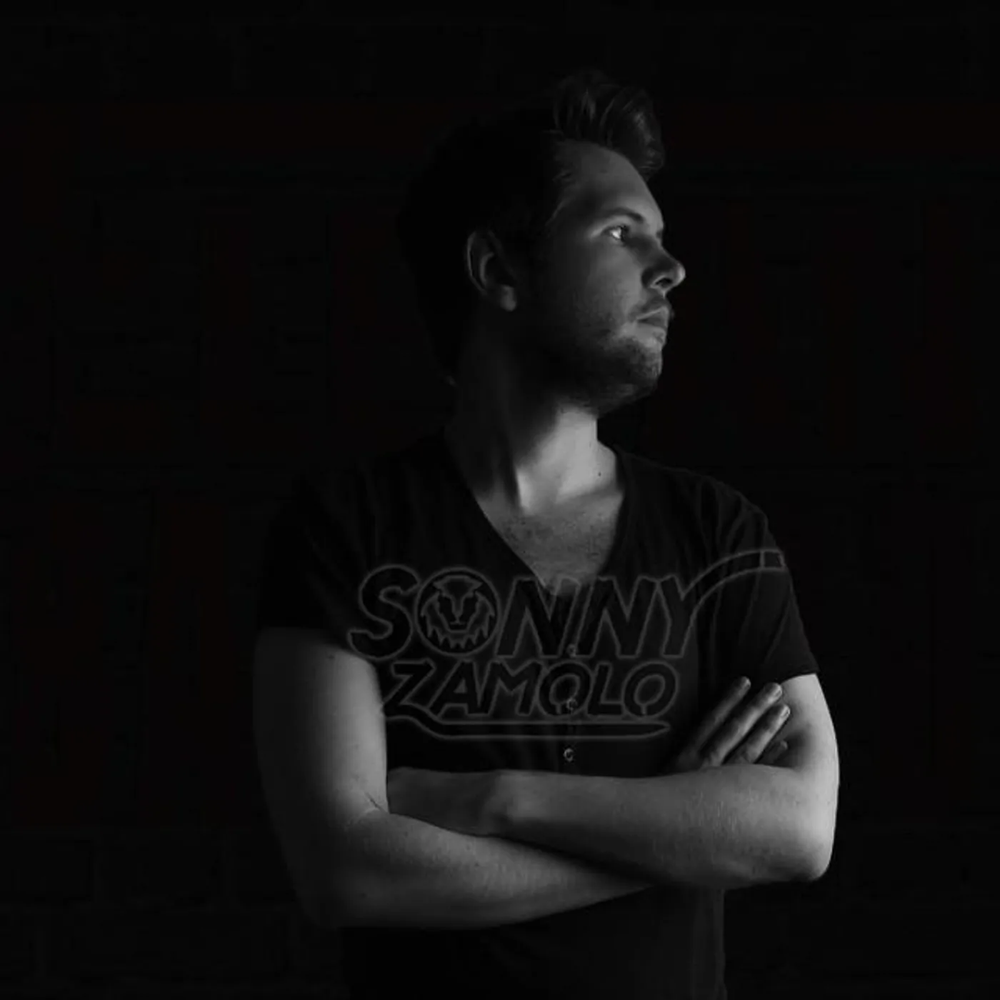Sonny Zamolo Brand Page