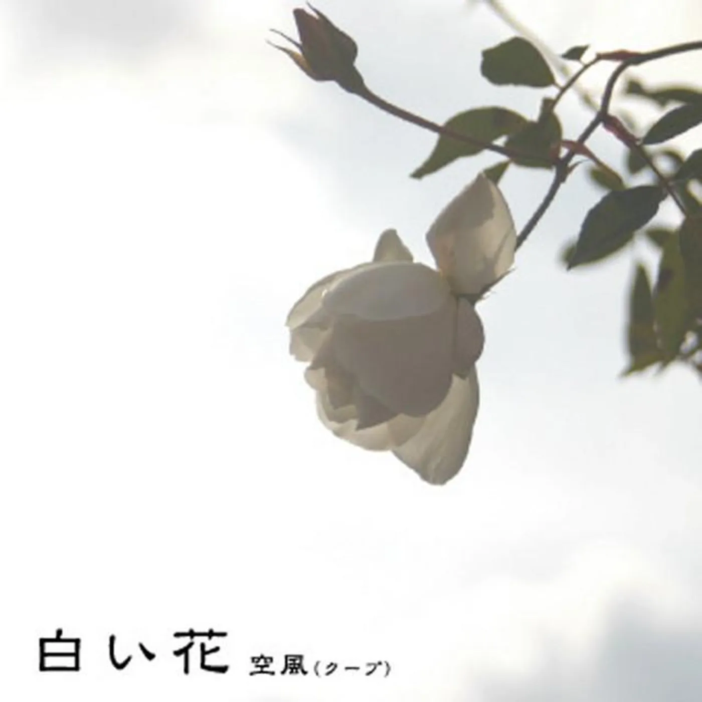 sorakaze92