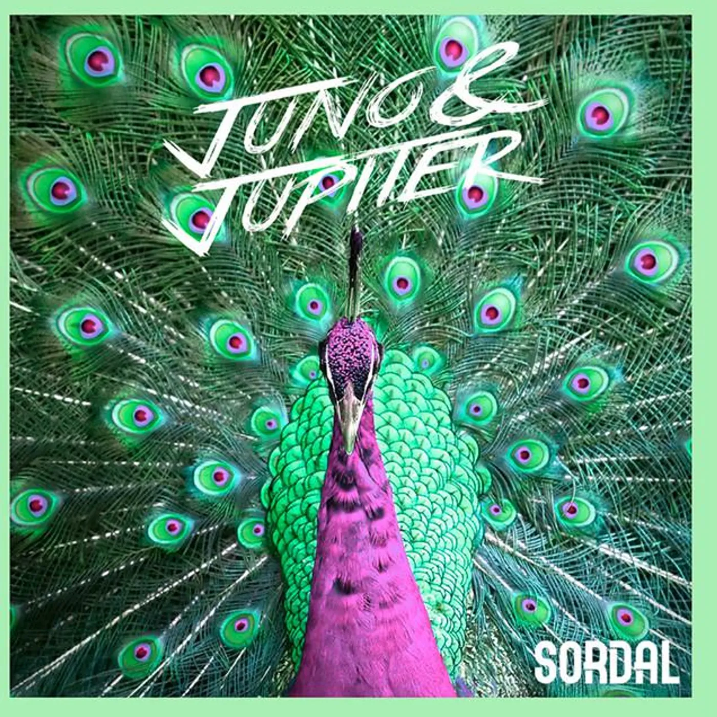 Sordal