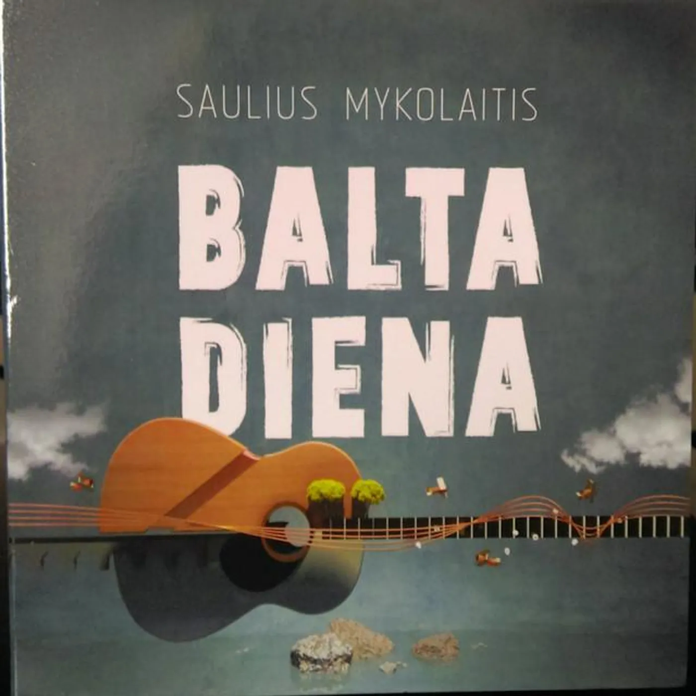 Saulius Mykolaitis Brand Page