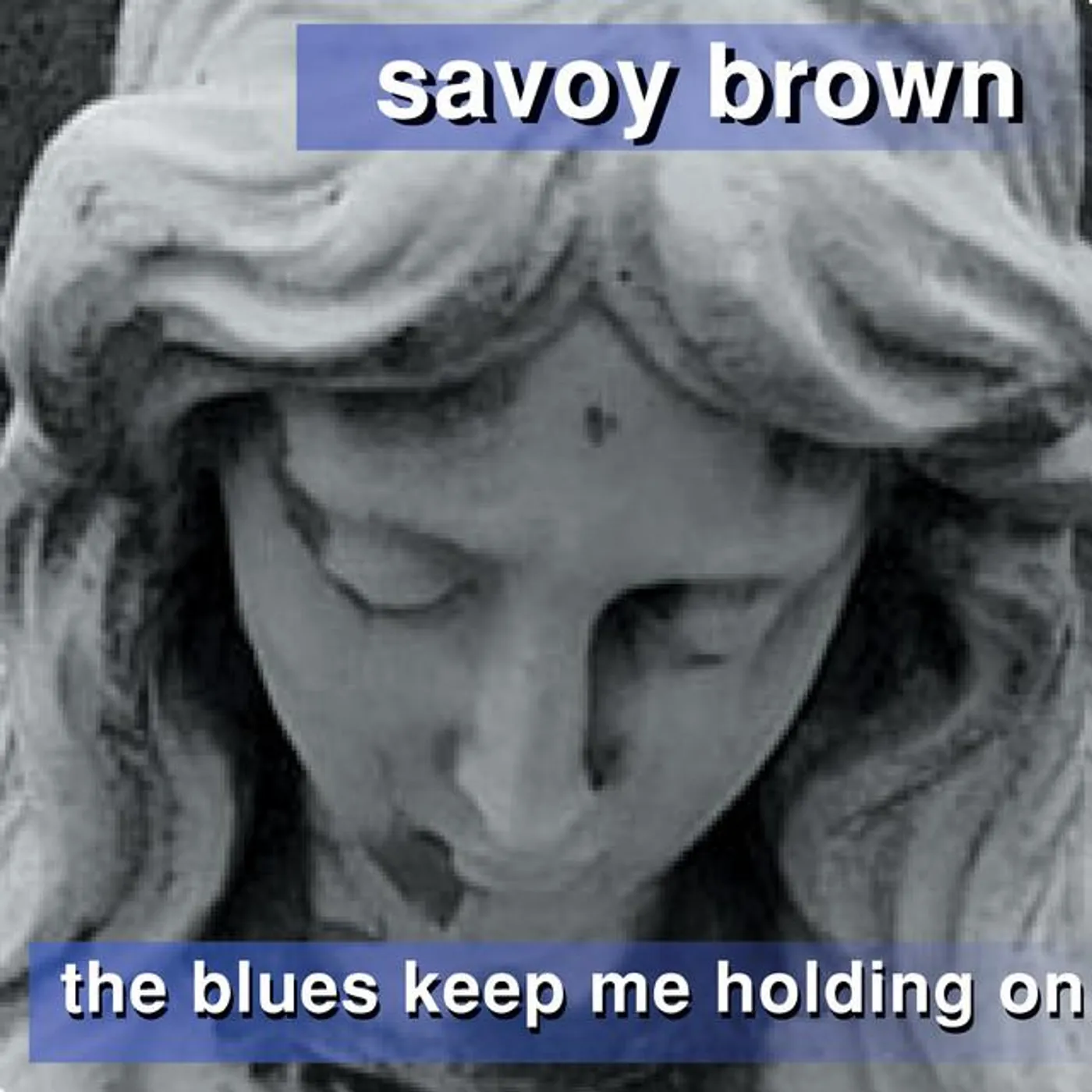 Savoy Brown Blues Band Brand Page