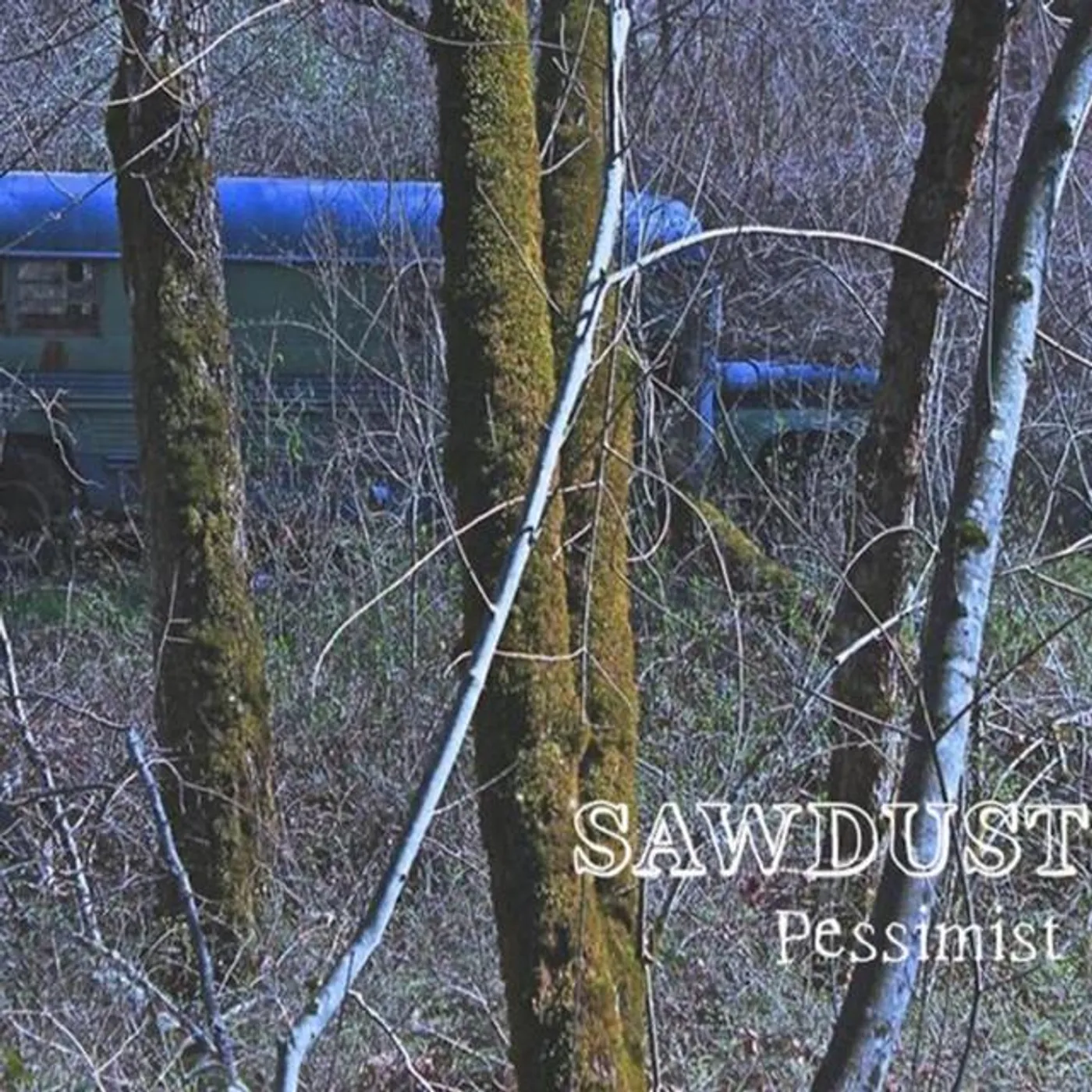 Sawdust Brand Page