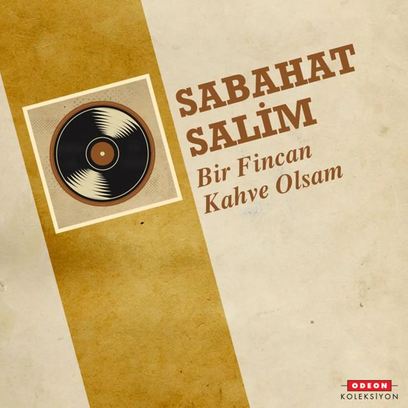 Sabahat Salim
