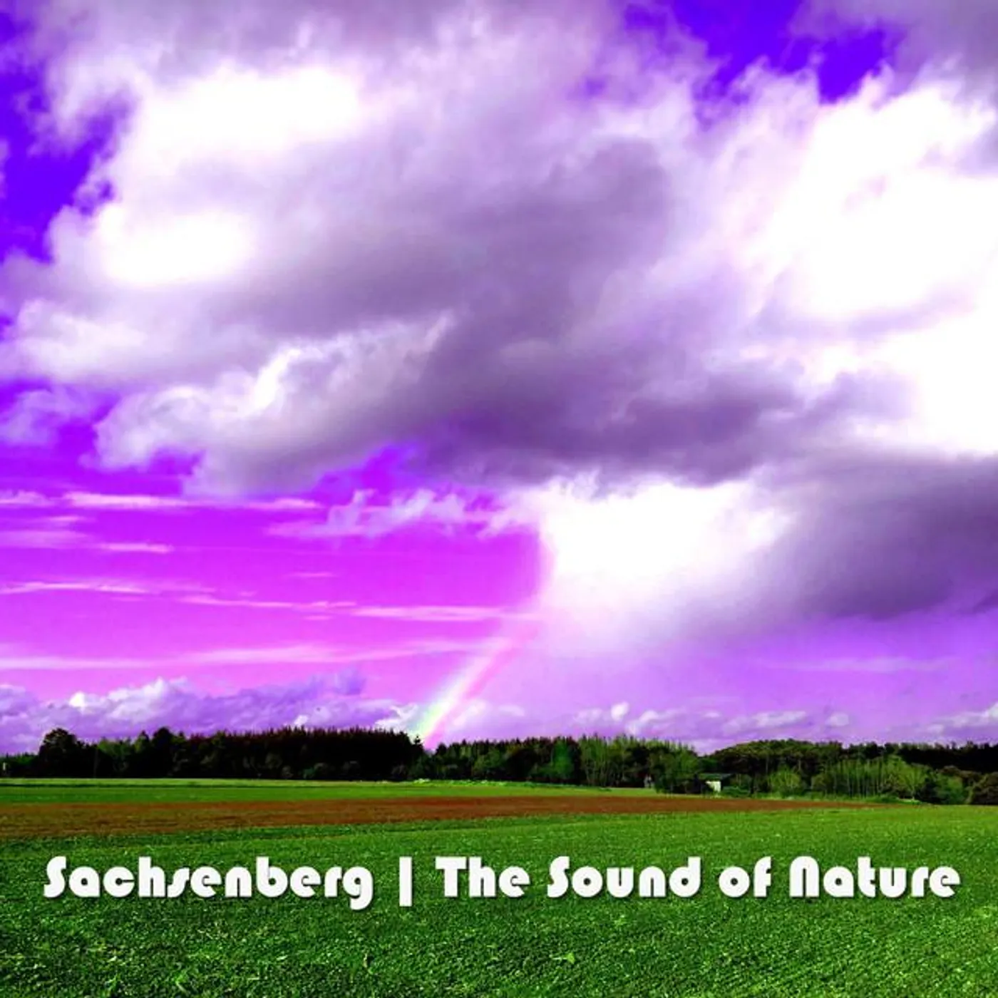 Sachsenberg Brand Page