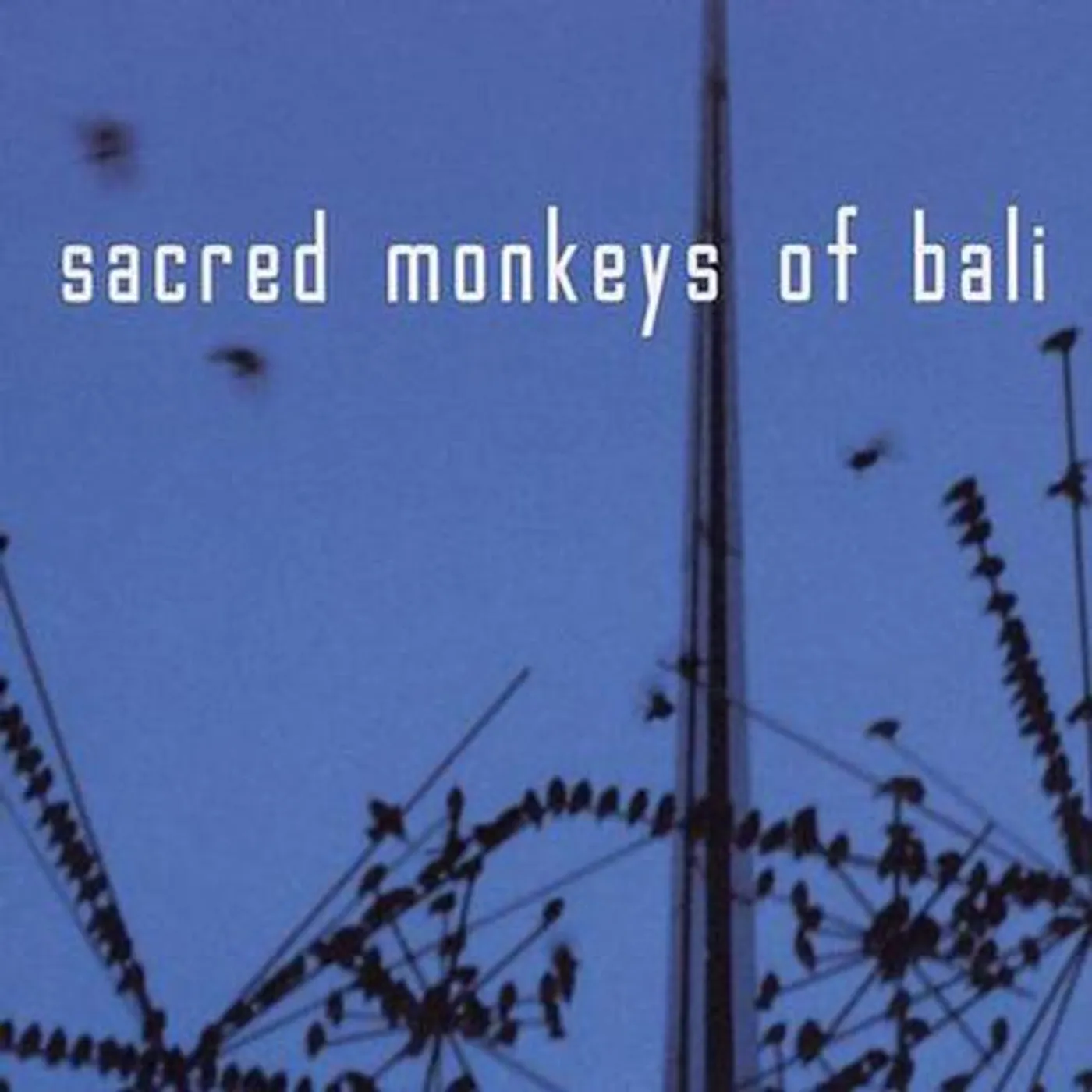 Sacred Monkeys of Bali Brand Page