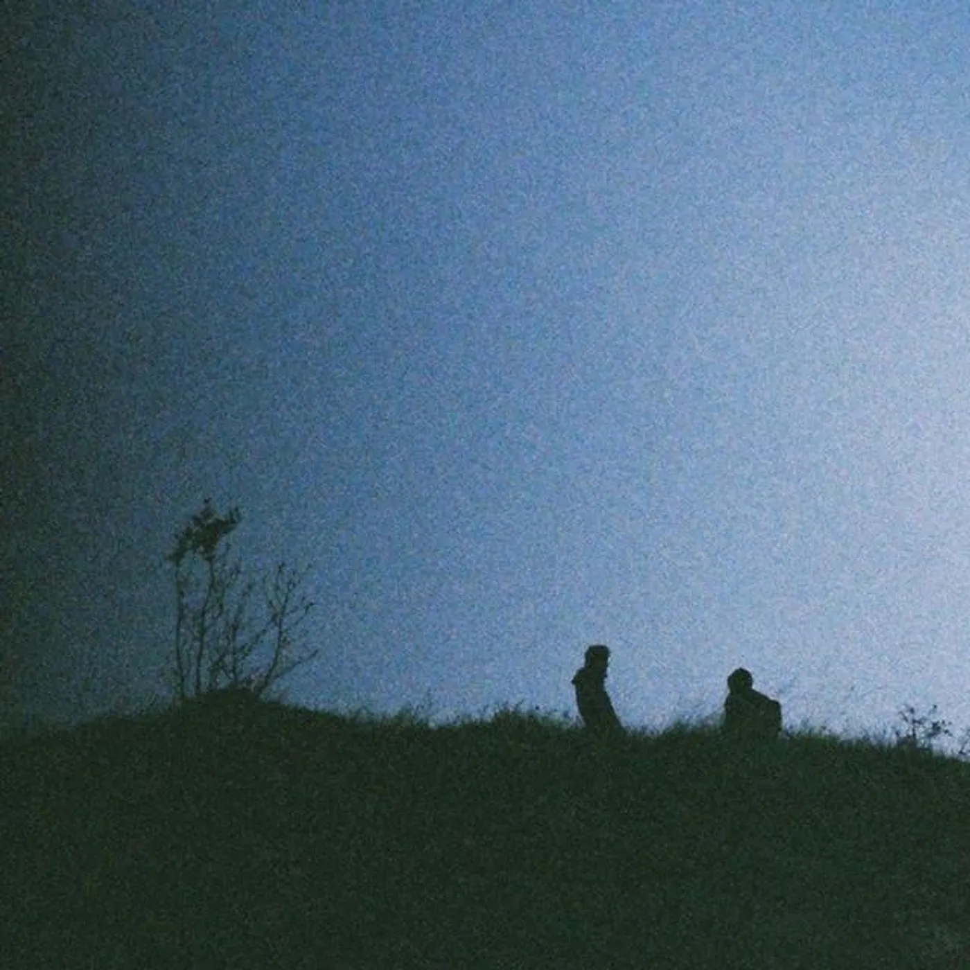 Sadboysav