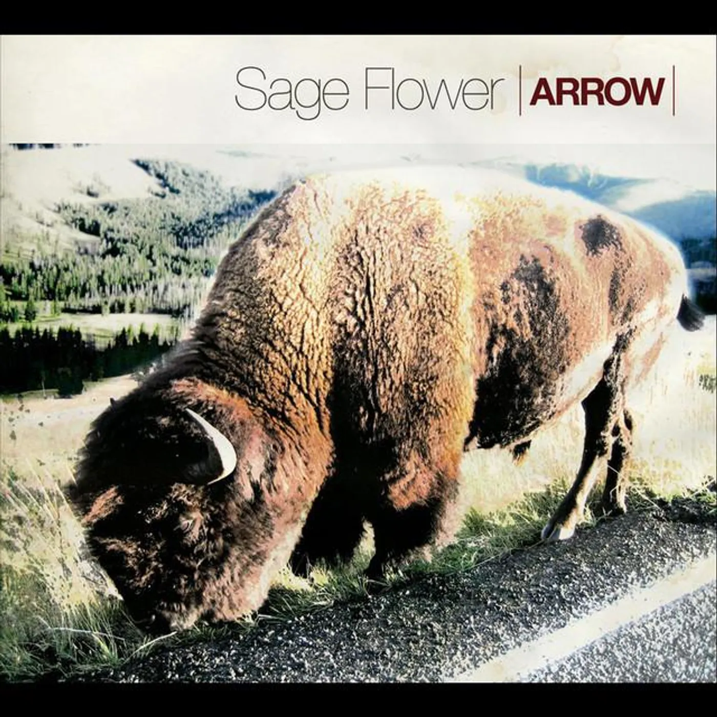 Sage Flower