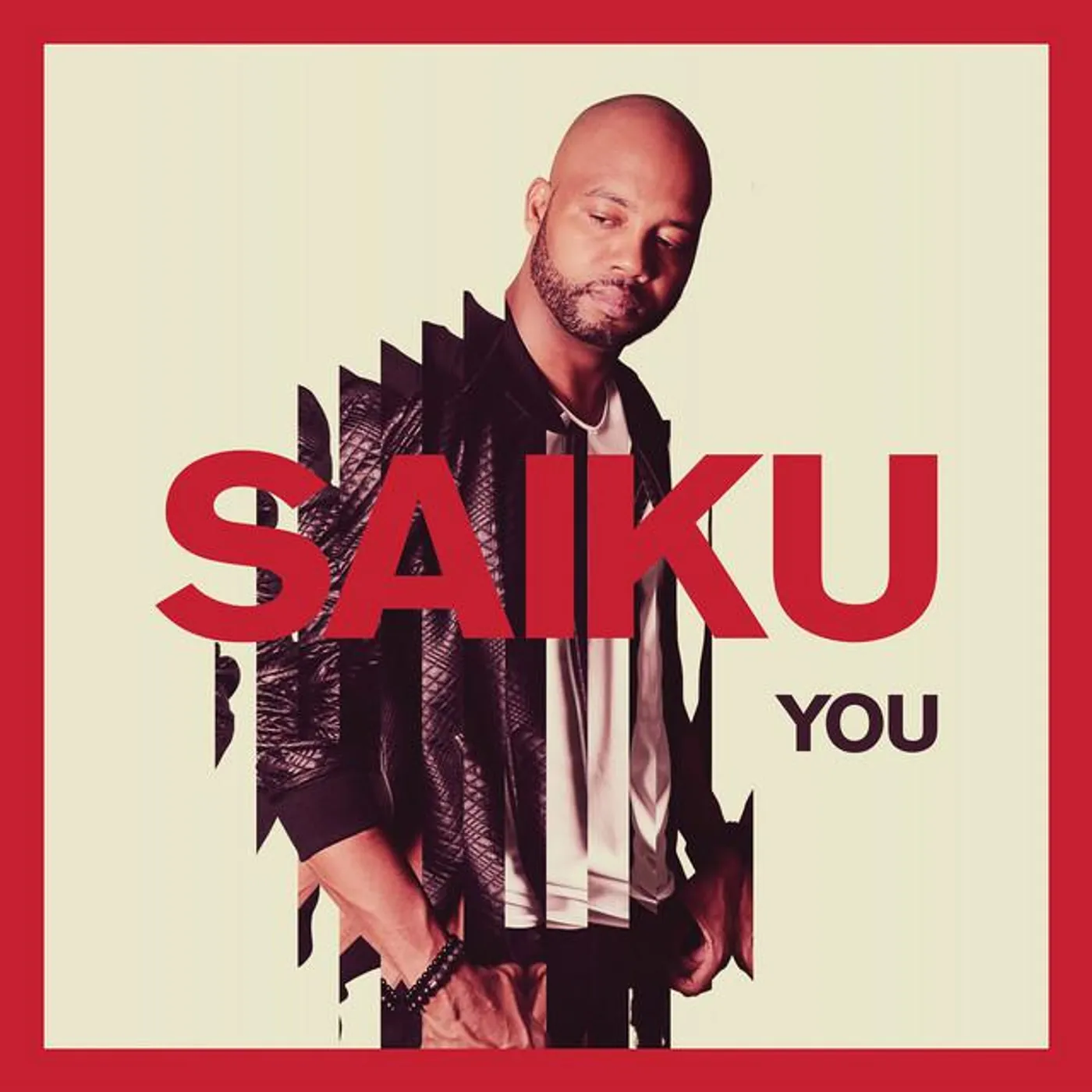 Saiku Brand Page