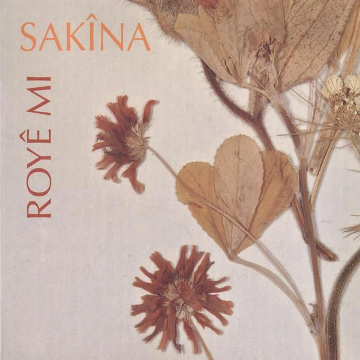 Sakina