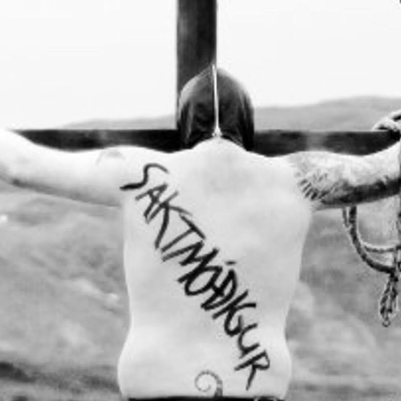 Saktmóðigur
