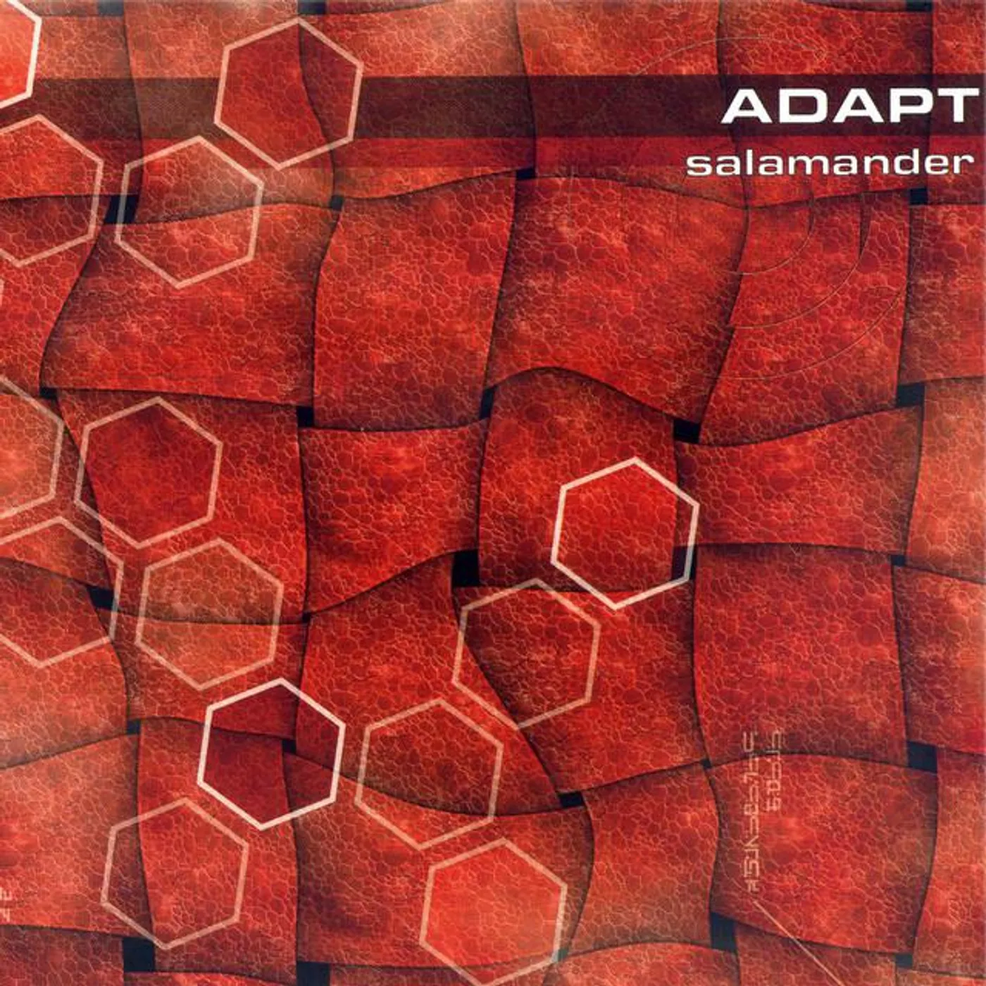 Salamander