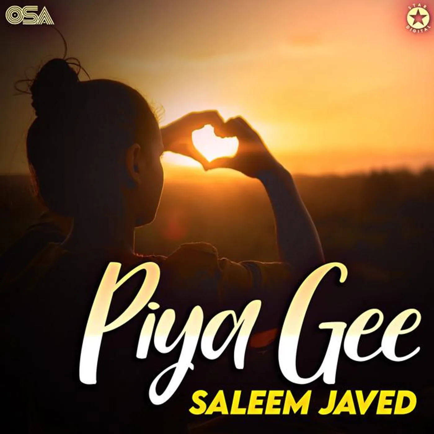 Saleem Javed