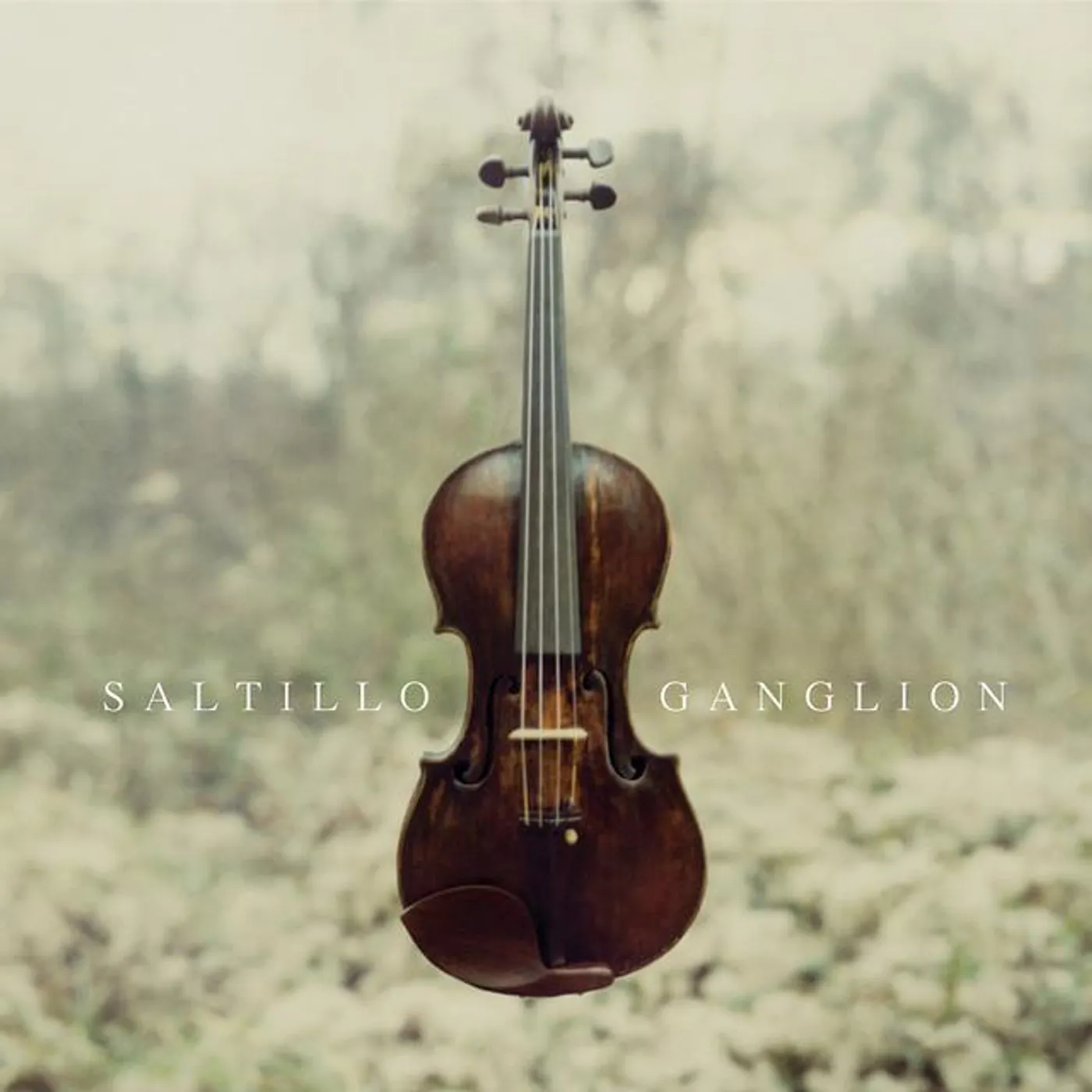 Saltillo Brand Page