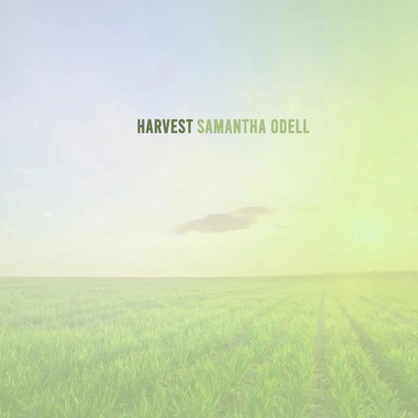 Samantha Odell