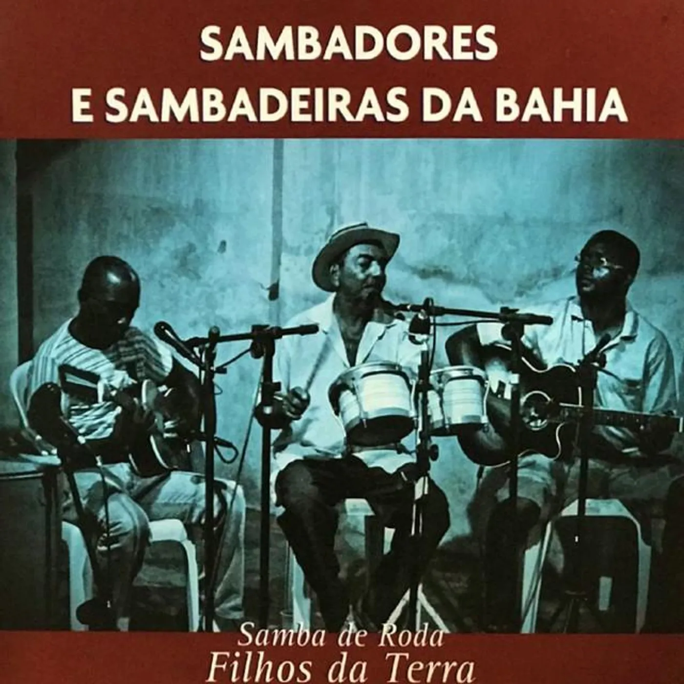 Samba de Roda Filhos da Terra Brand Page