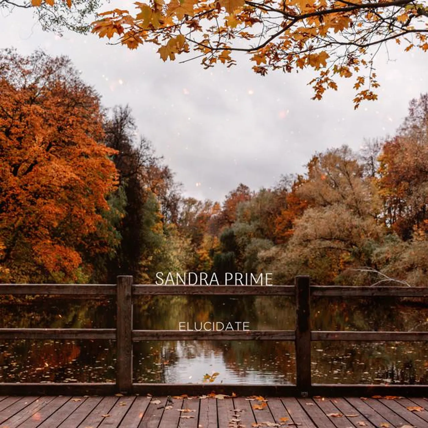 Sandra Prime Brand Page