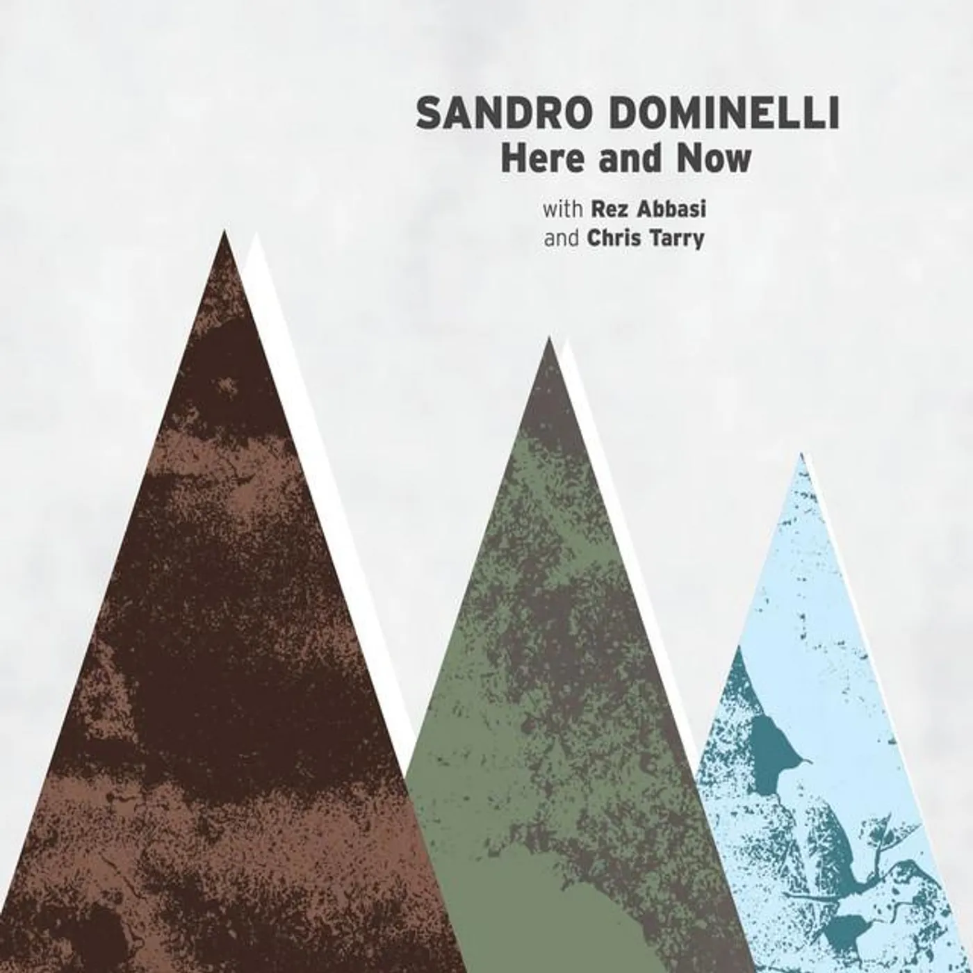 Sandro Dominelli