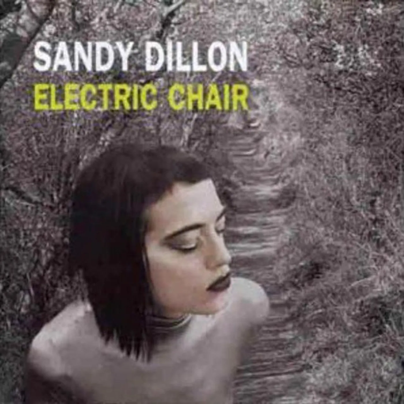 Sandy Dillon