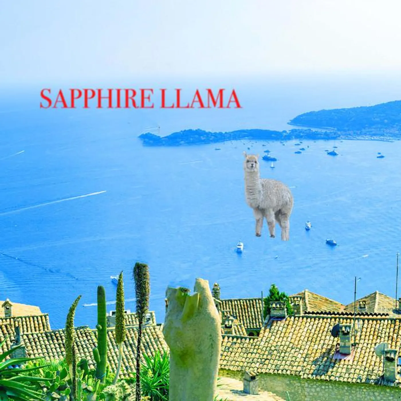Sapphire Llama Brand Page