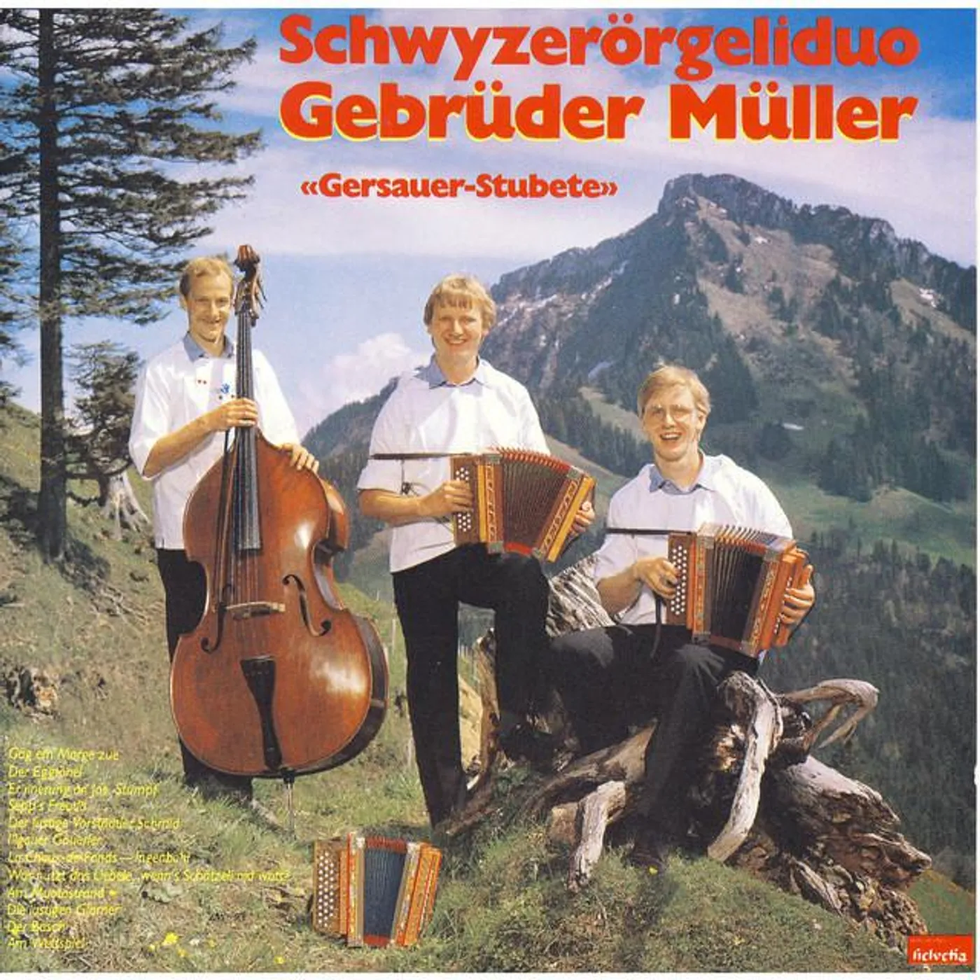 Schwyzerörgeliduo Gebrüder Müller