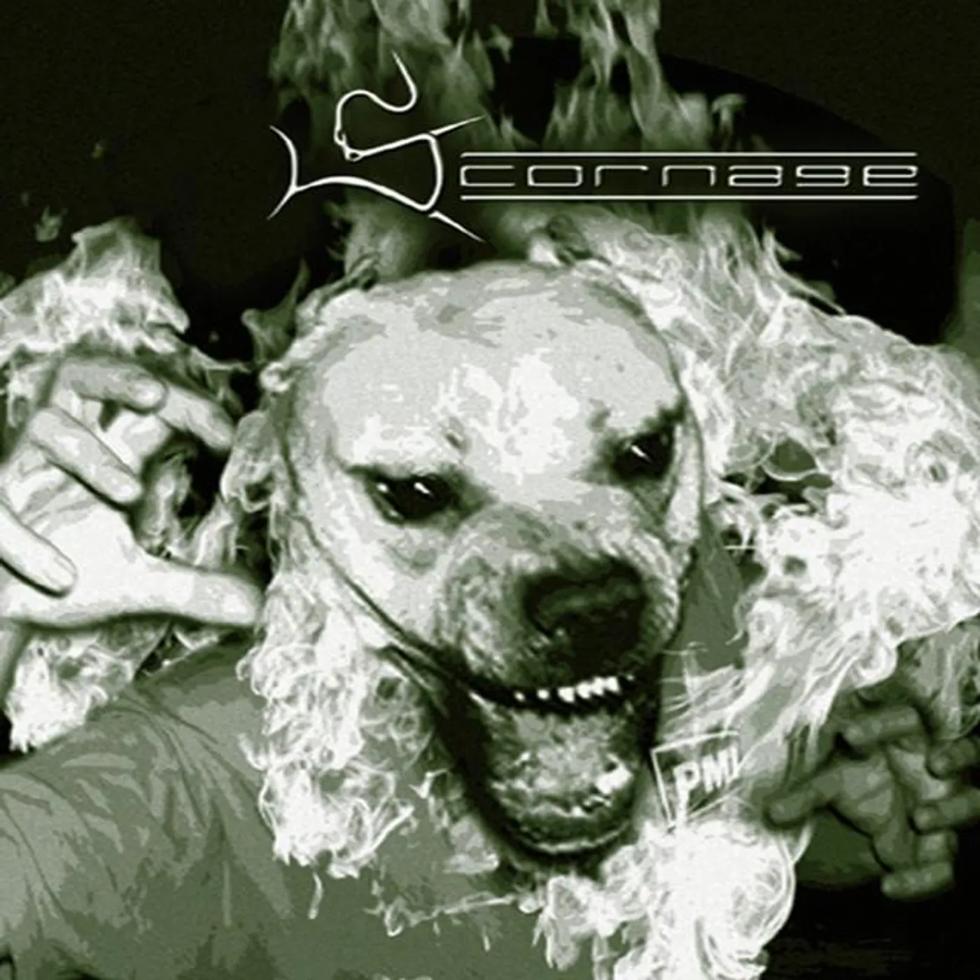 Scornage