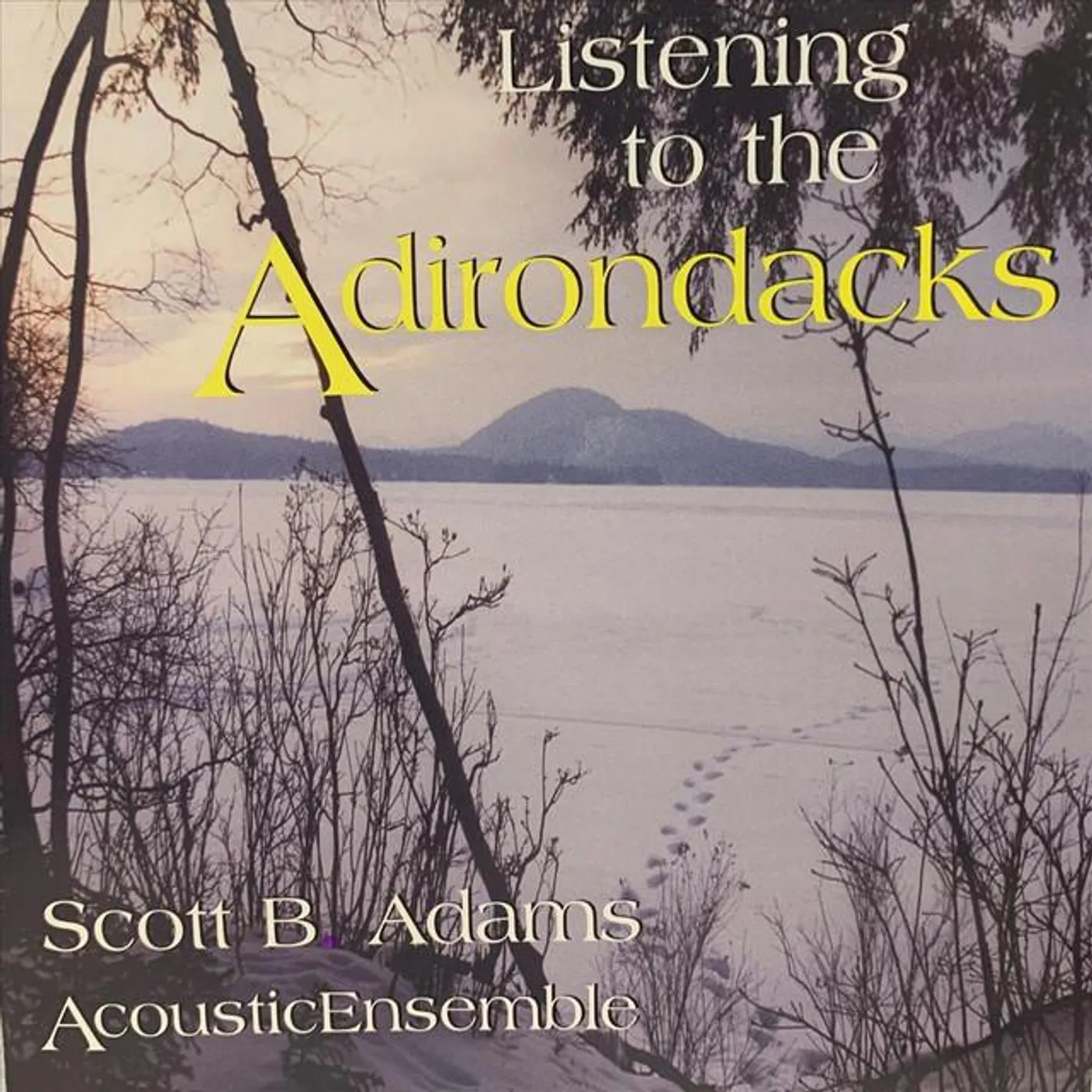 Scott B Adams Acoustic Ensemble Brand Page
