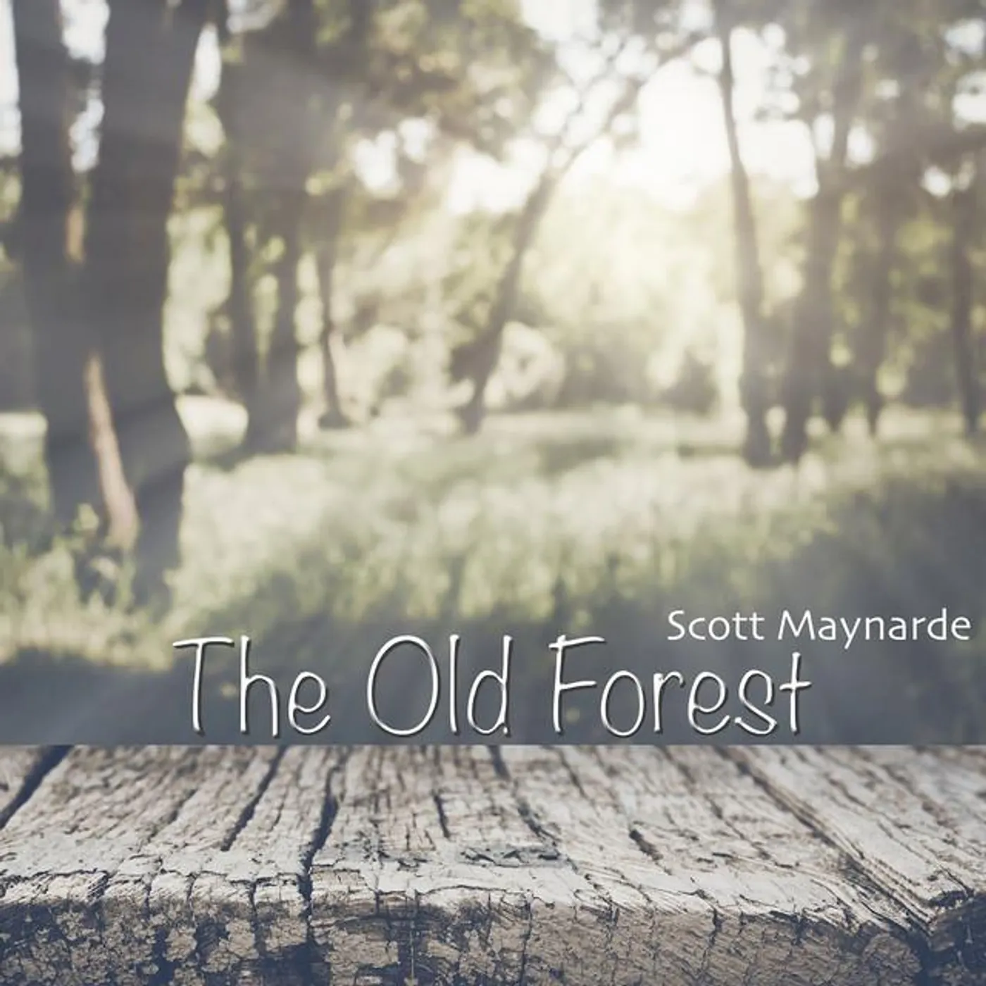 Scott Maynarde