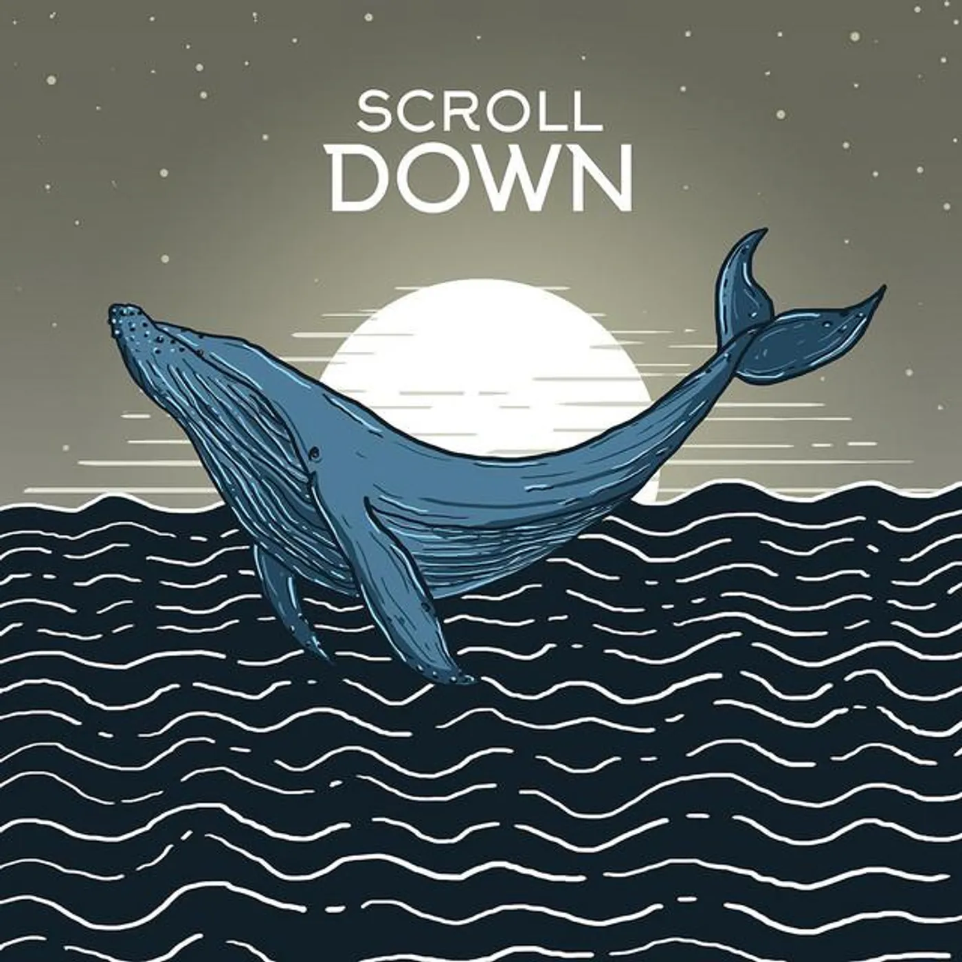 Scroll Down