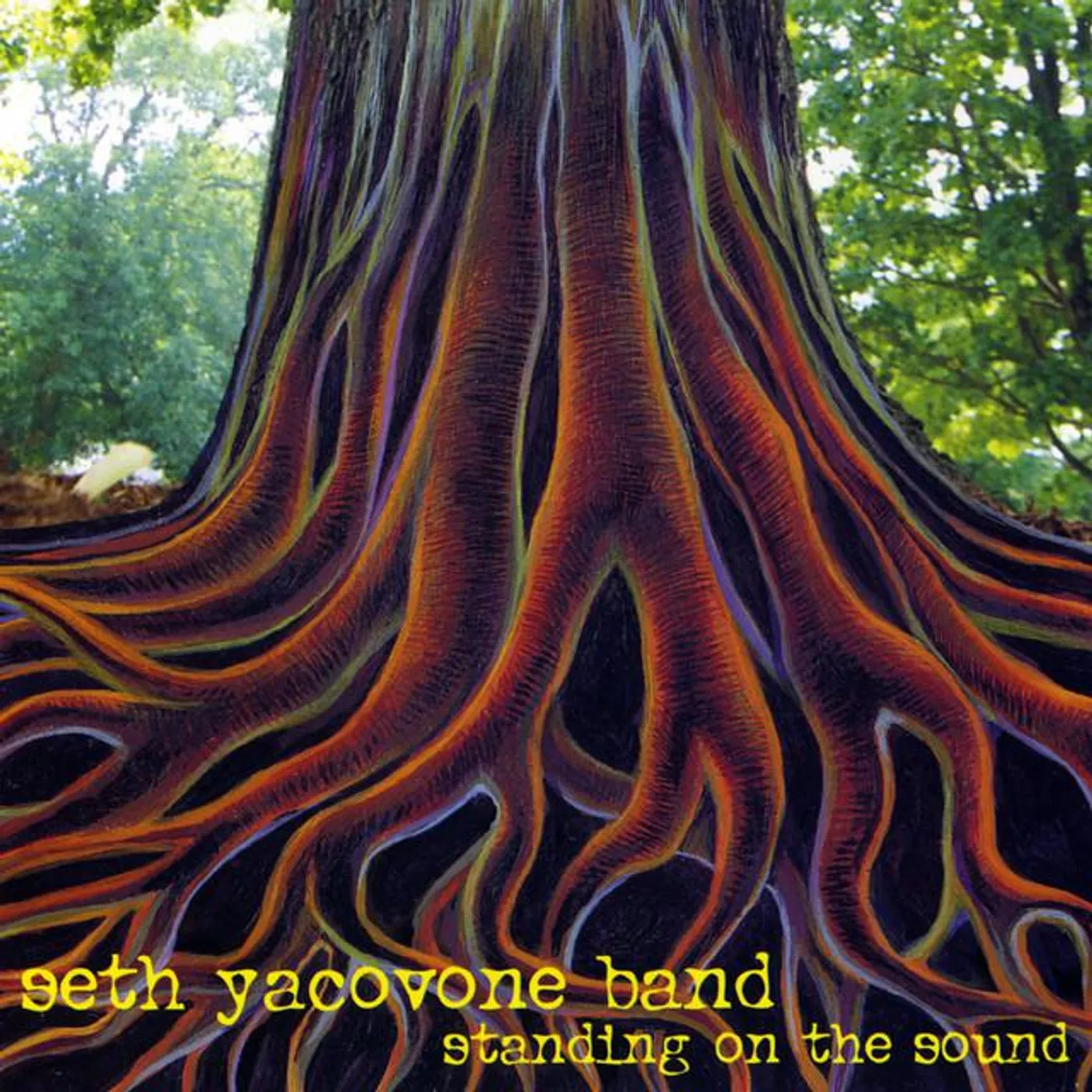 Seth Yacovone Band Brand Page