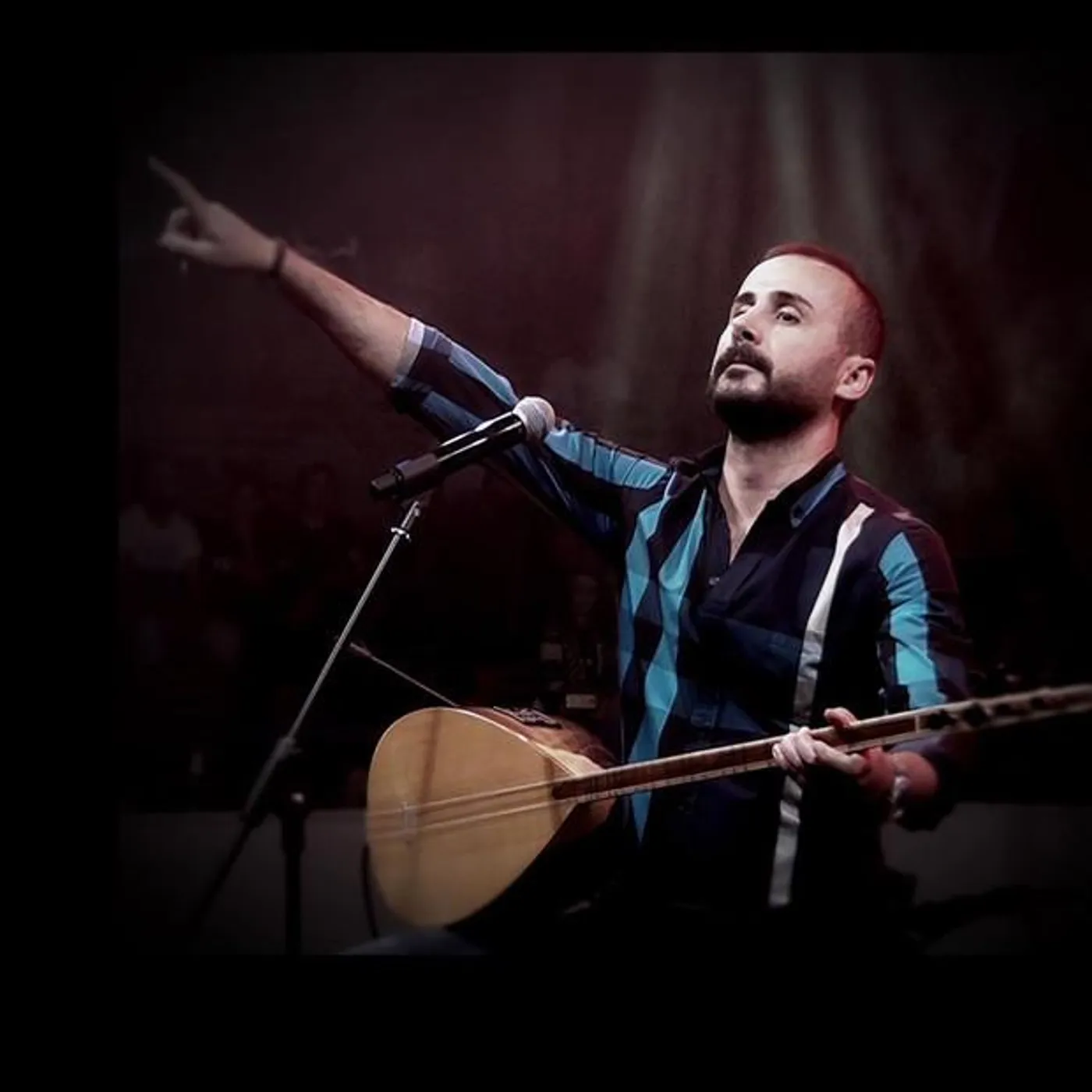 Seyfi Yerlikaya