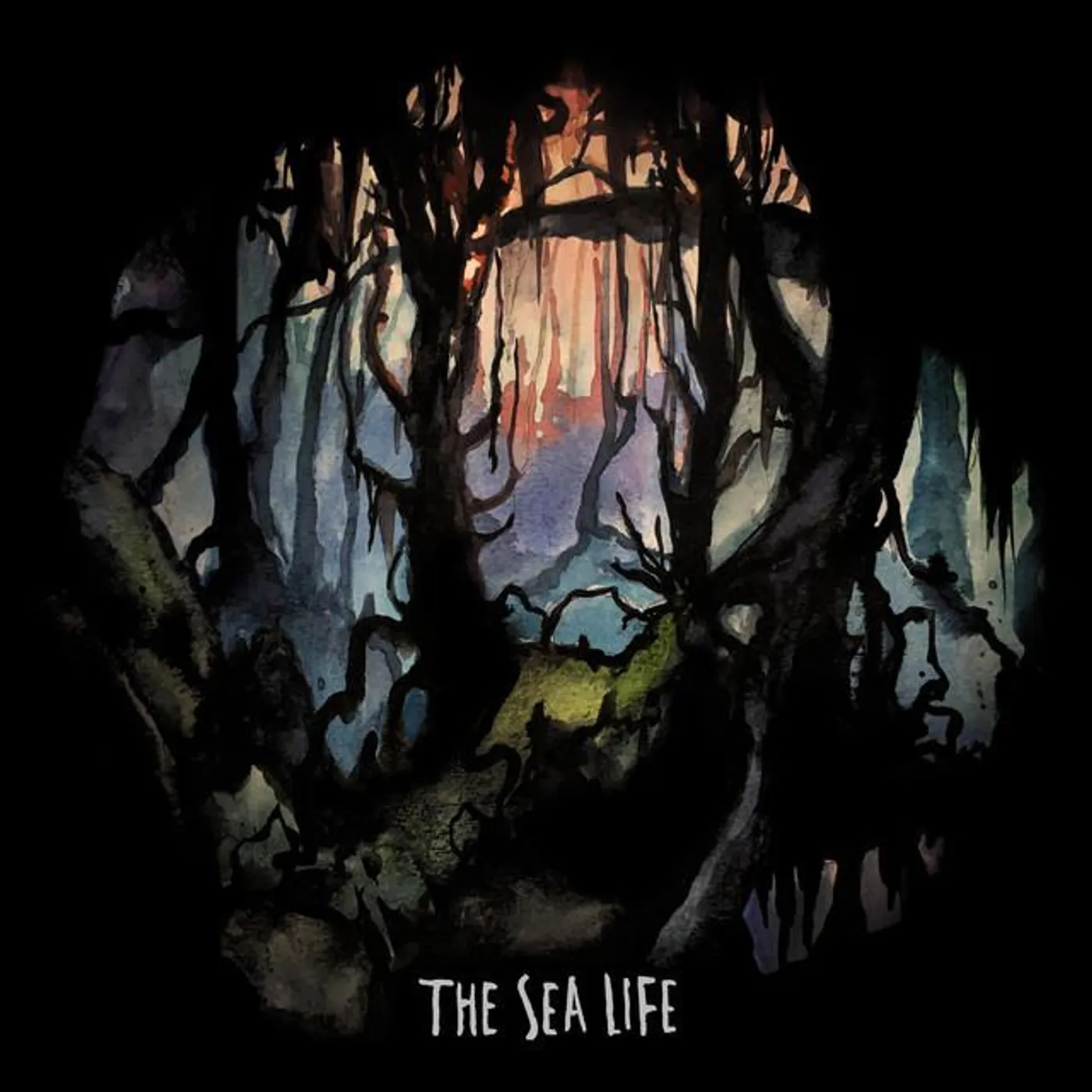 The Sea Life Brand Page