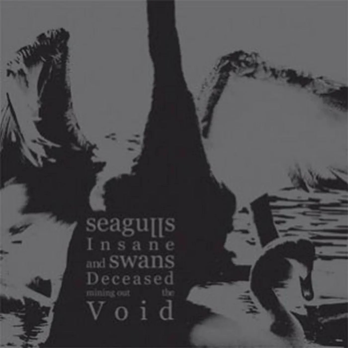Seagulls Insane and Swans Deceased Mining Out The Void