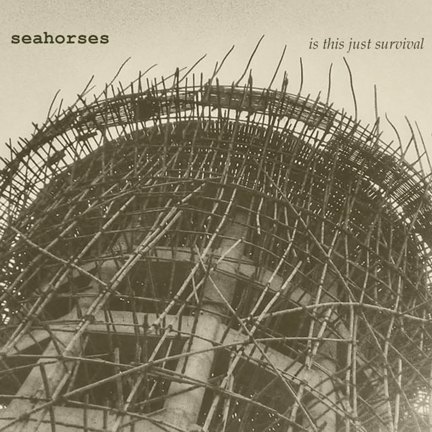 Seahorses