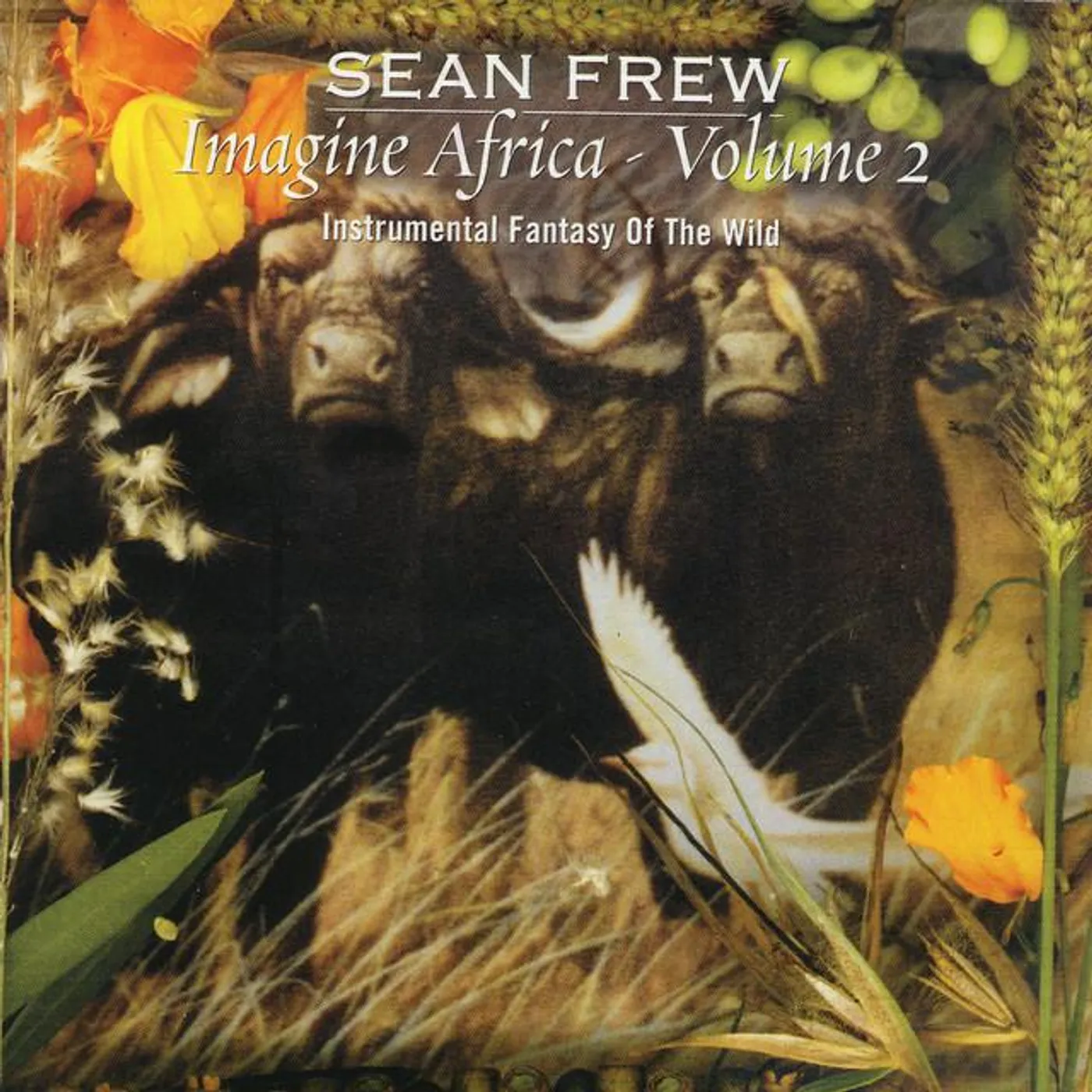 Sean Frew Brand Page