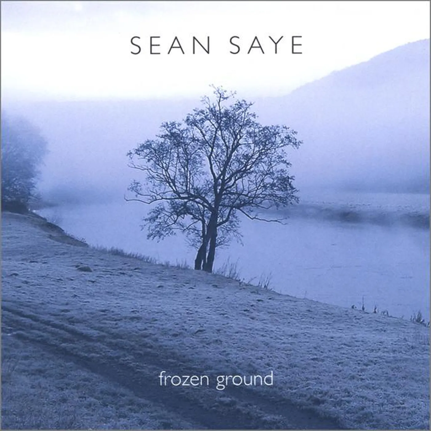 Sean Saye Brand Page