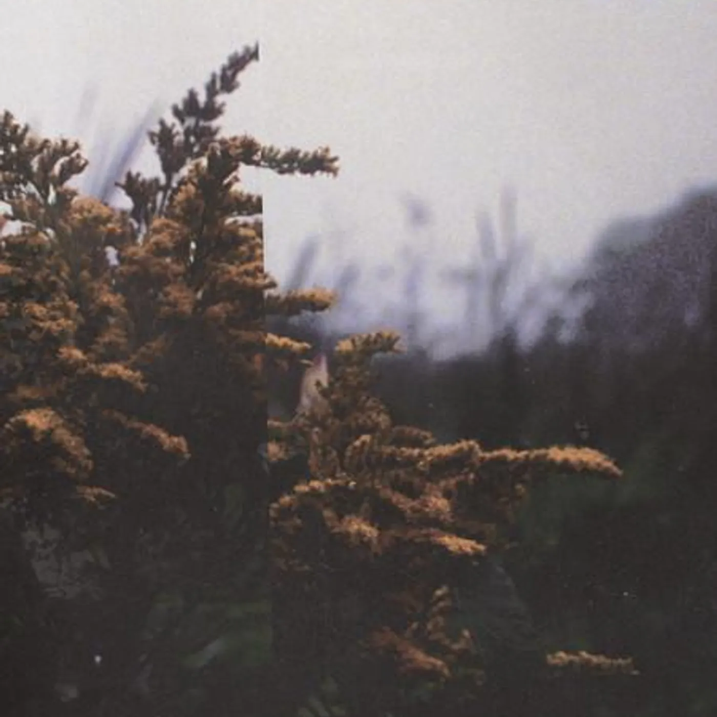 seasonal Brand Page