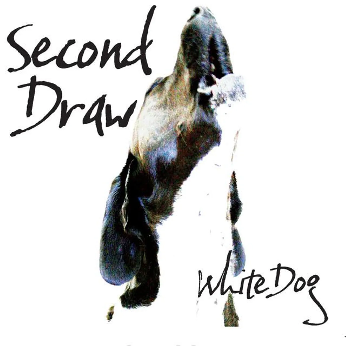 Second Draw Brand Page