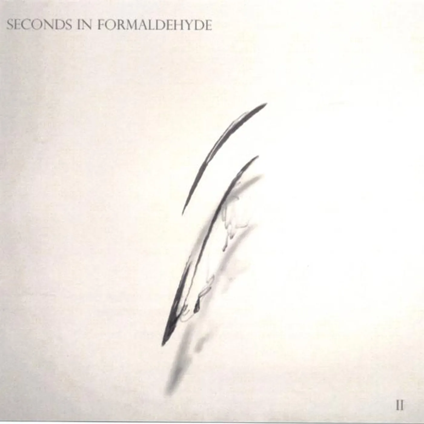 Seconds in Formaldehyde