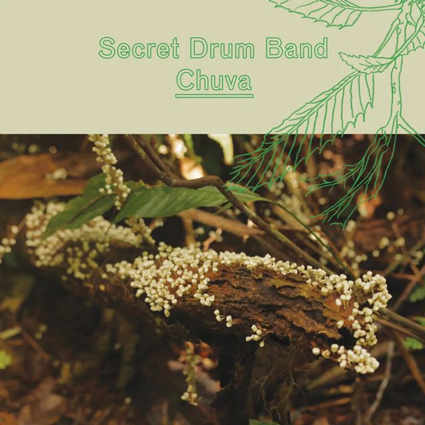 Secret Drum Band