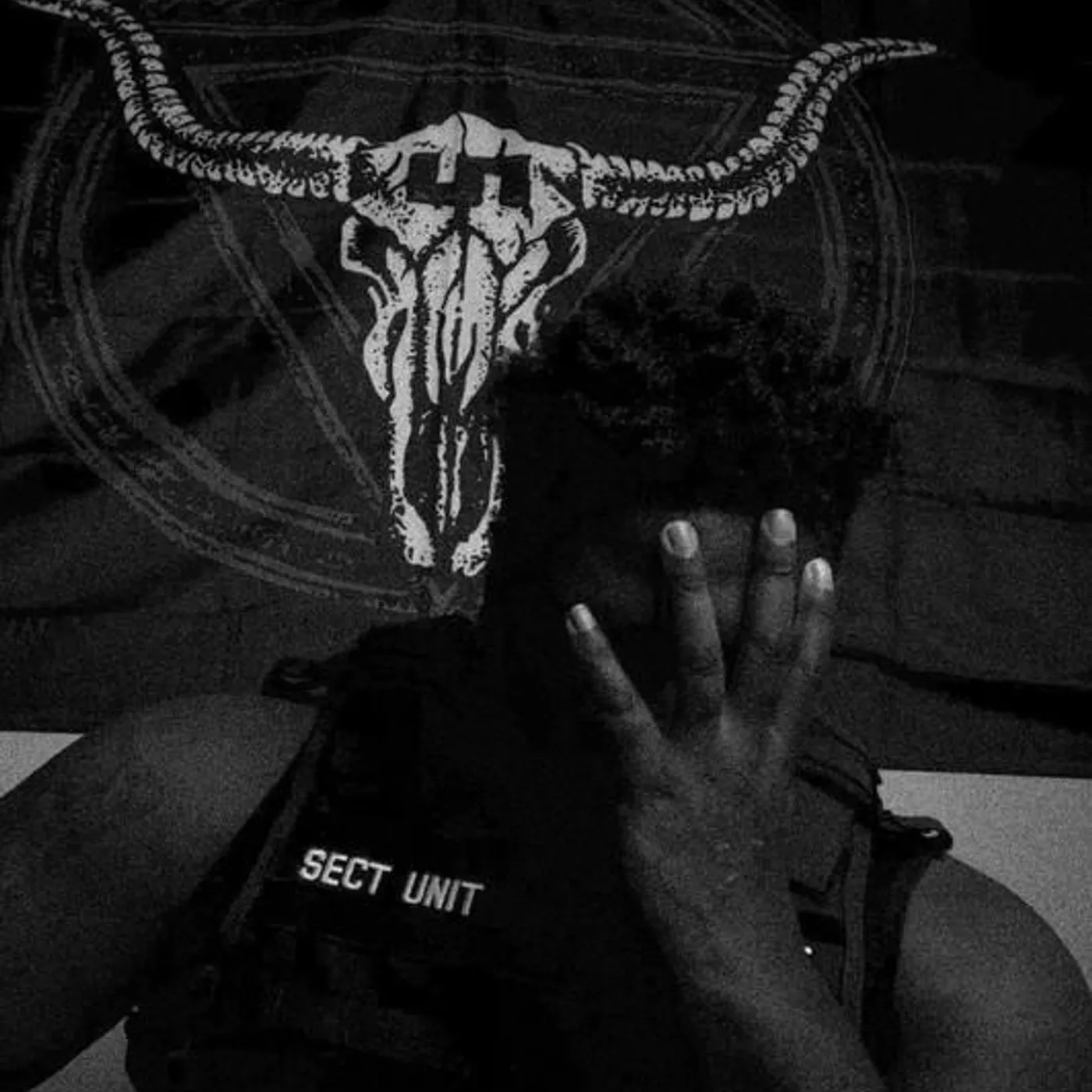 Sect Unit