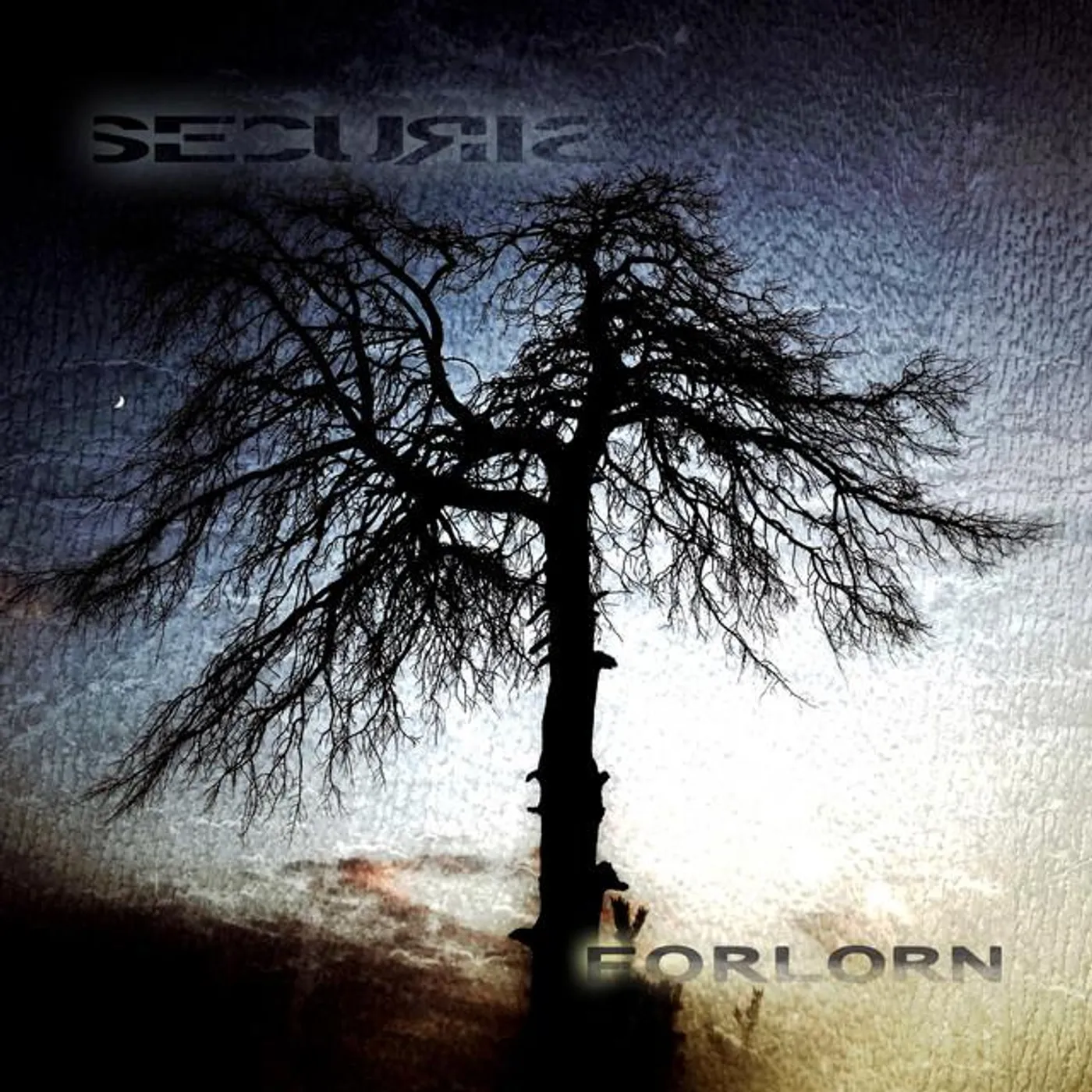 Securis